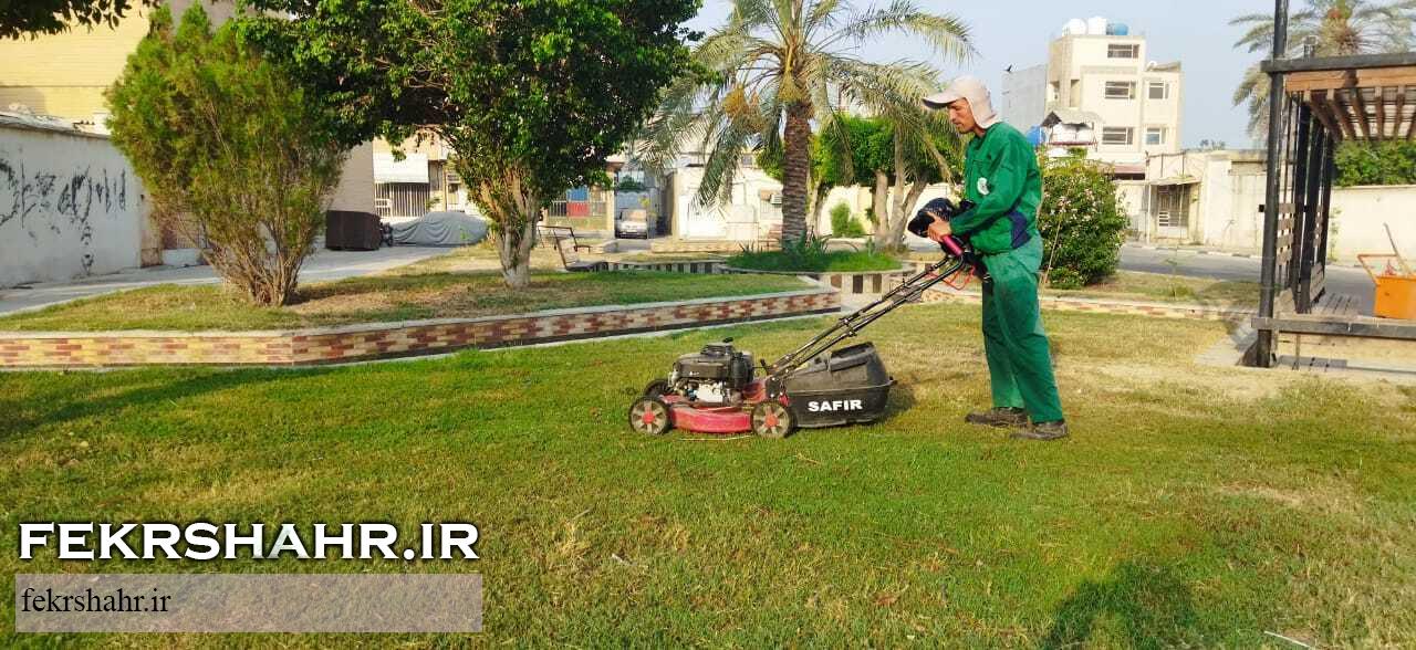 رسیدگی به فضای سبز شهری در گرم‌ترین فصل سال با هدف حفظ طراوت فضای سبزشهری در جزیره خارگ +تصاویر