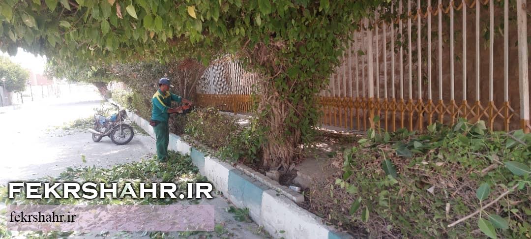 رسیدگی به فضای سبز شهری در گرم‌ترین فصل سال با هدف حفظ طراوت فضای سبزشهری در جزیره خارگ +تصاویر