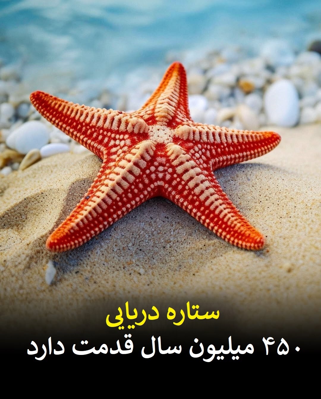 تصاویر/ موجوداتی قدیمی‌تر از دایناسور‌ها که هنوز زنده‌اند