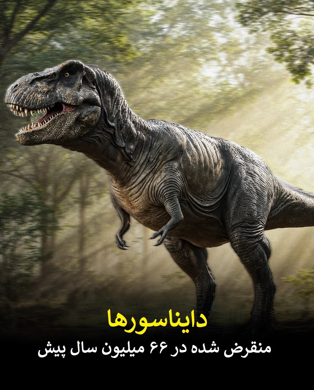 تصاویر/ موجوداتی قدیمی‌تر از دایناسور‌ها که هنوز زنده‌اند