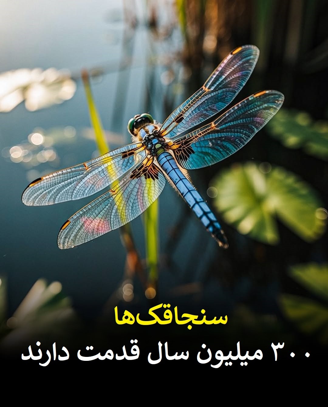 تصاویر/ موجوداتی قدیمی‌تر از دایناسور‌ها که هنوز زنده‌اند