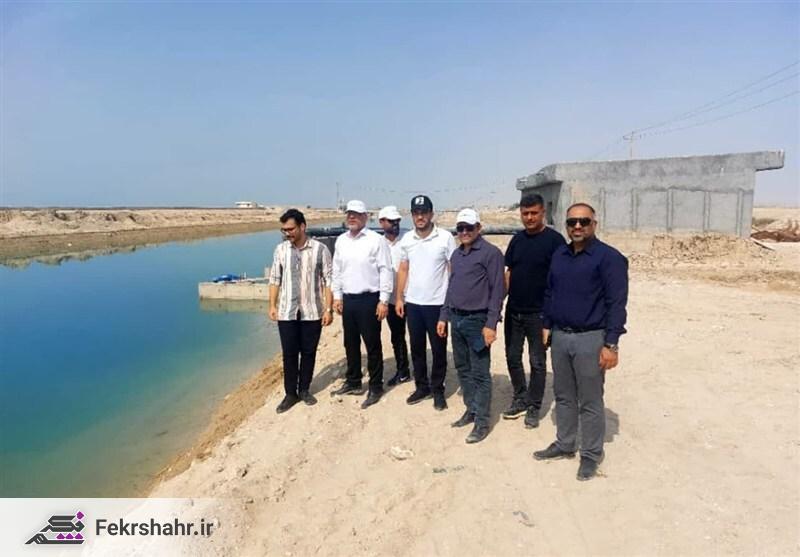 مدیرکل: آغاز طرح پایلوت کنترل بیماری AHPND در مزارع میگو استان بوشهر