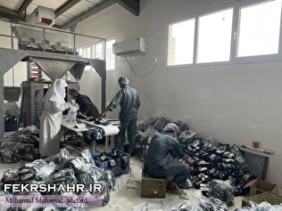 تصاویر «فکرشهر»/ شهرک صنعتی بوشهر