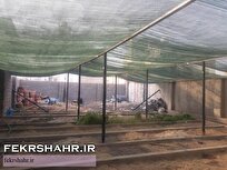 آماده‌سازی و تجهیز نهالستان شهرداری خارگ جهت کاشت گل‌های فصلی