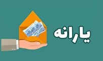 جزئیات حذف یارانه سه میلیون نفر/ معترضان چه کنند؟