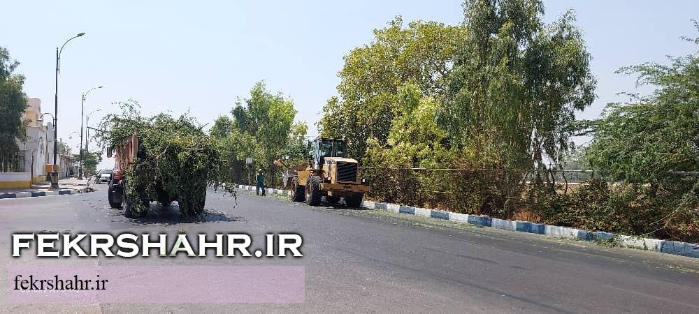 تلاش بی‌وقفه کارکنان فضای سبز شهرداری خارگ در گرمای شدید تابستان + تصاویر