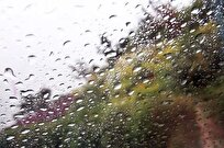 ثبت پنج میلیمتر باران در کنگان