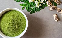 چگونه پودر مورینگا عملکرد روزانه‌ی مردان را تقویت می‌کند؟