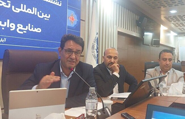 طرح غذادهی نخیلات با جلبک‌های دریایی در بوشهر رونمایی می‌شود/ بیش از ۲ هزار تن خرمای استان بوشهر صادر شد