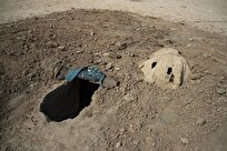 دستگیری ۳ متخلف صید پرندگان شکاری در تنگستان