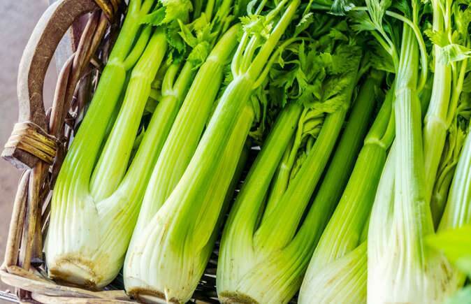 ۵ ماده خوراکی که میتوانند بسیار خطرناک باشند/ دو میوه بسیار محبوب در لیست ۵ ماده خوراکی که میتوانند بسیار خطرناک باشند/ دو میوه بسیار محبوب در لیست