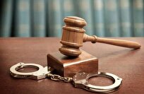 تاج زاده بازداشت و به زندان برگردانده شد