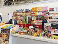 تعزیرات: تشکیل پرونده گرانفروشی برای غرفه‌های موجود در فرودگاه عسلویه