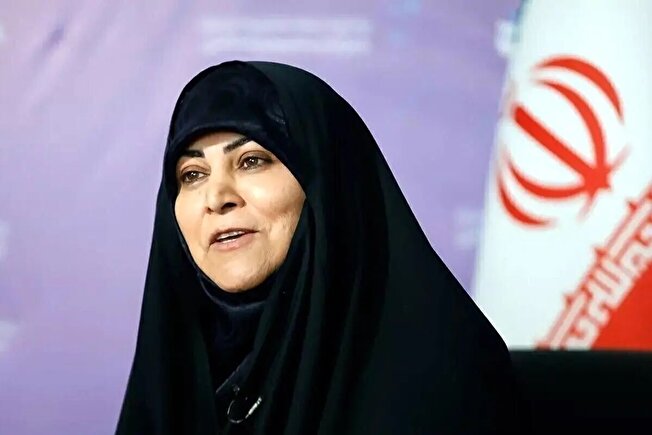 مشاور مرحوم رئیسی: اگر قانون حجاب انقدر ماورایی نبود، شورای امنیت مانع اجرا شدنش نمی‌شد / استدلال برخی نمایندگان این است که سازمان محیط زیست را تعطیل کنیم و فقط قانون عفاف و حجاب را اجرا کنیم