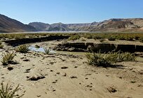 آب منطقه ای: برخی از دشت‌های استان بوشهر ۳ متر افت آب زیر زمینی دارند