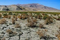 سطح آب‌های زیرزمینی در دشت اهرم ۵.۵ متر افت کرد