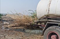محیط زیست: دستگیری راننده کامیون متخلف حمل فاضلاب در بوشهر