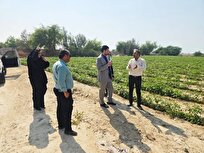 اعلام جرم دادستانی کنگان علیه ۳ نفر به علت تهدید بهداشت عمومی