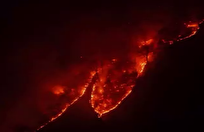 ببینید / تصاویری وحشتناک از سوختن جنگل هیرکانی در شب