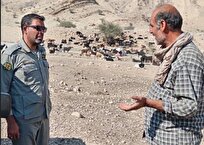 محیط زیست: واکسیناسیون دام ها در بیرمی برای جلوگیری از بیماری در حیات وحش