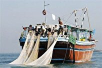 شیلات: واردات ادوات صیادی مخرب به گمرک‌های استان بوشهر ممنوع شد