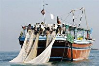 شیلات: واردات ادوات صیادی مخرب به گمرک‌های استان بوشهر ممنوع شد