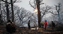 سازمان منابع طبیعی:

ردپای انسان در آتش‌سوزی جنگل‌ها محرز شد / شکارچیان غیرمجاز الیت را آتش زدند‌