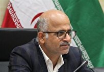 مدیرکل اقتصادی: ارتقای رتبه فضای کسب‌وکار استان بوشهر به جایگاه یازدهم کشور