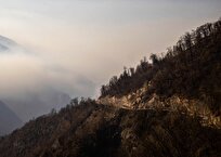 منابع طبیعی: آتش‌سوزی اخیر ۱۰ هکتار از جنگل الیت چالوس را نابود کرد