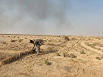 ادعای مدیرکل محیط زیست استان بوشهر: یکی از دشت‌های مهم زنده‌گیری «هوبره» پاکسازی شد