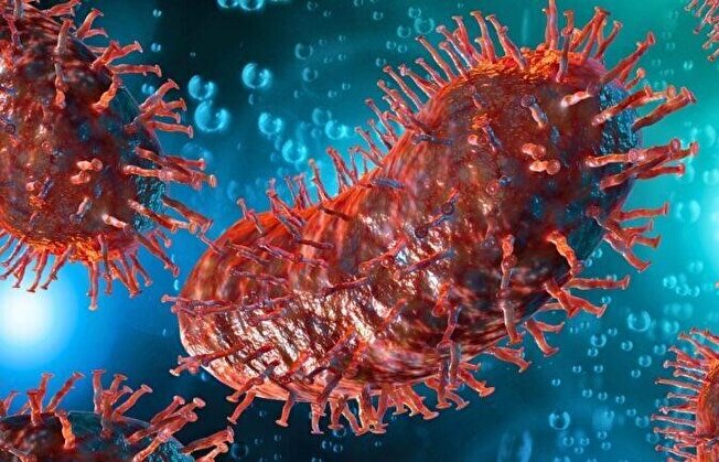 مرگ مرد آمریکایی بر اثر هاری پس از دریافت کلیهٔ آلوده