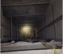 زیستگاه جدید و پنهان پشه آئدس در کنگان اعلام شد