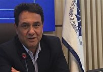 رییس انجمن خرما: ۷۰ درصد نخیلات استان بوشهر آلوده به آفات است