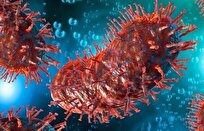 مرگ مرد آمریکایی بر اثر هاری پس از دریافت کلیهٔ آلوده