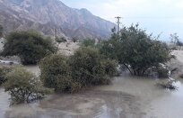 آبگیری آبخوان اهرم؛ احیای ۲ هزار هکتار اراضی بایر و خوشحالی کشاورزان و دامداران