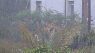 جزییات بارش‌ها در استان بوشهر/ بارش ۱۴۱ میلیمتر باران در شهر جم/ کاهش محسوس دمای هوا در پیش است