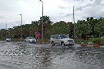 هواشناسی: پنج شنبه، بارش‌های گسترده از شمال تا جنوب استان بوشهر