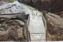 آب منطقه ای: ذخیره سه سد استان بوشهر ۷.۸ میلیون متر مکعب افزایش یافت + جزییات