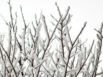 هواشناسی: احتمال بارش برف در ارتفاعات استان بوشهر / تداوم فعالیت سامانه بارشی تا شنبه