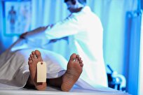 استارتاپ آمریکایی بقایای اجساد را به چیزی تبدیل می‌کند که اصلاً فکرش را نمی‌کنید