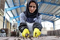 ۳۳ میلیون تومان؛ رقم جدید هزینه زندگی کارگران اعلام شد