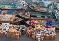 زارع: ۷۰ درصد درآمد قانون تجارت مرزی در استان بوشهر صرف توسعه بنادر می‌شود