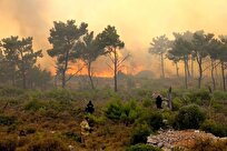 آخرین اخبار از آتش سوزی جنگل های هیرکانی/ آتش‌سوزی از ۱۰ آبان آغاز شده/ نماینده نوشهر: آتش‌سوزی با منشا انسانی، در ابتدا مثل لکه، کوچک بود؛ گفتند با جوامع محلی جمع و جور می‌شود/ هواپیمای ترکیه در محل حریق حضور دارد، هواپیمای روسیه هم امروز می‌آید/ هلال احمر: مصدومیت ۵ نفر در این حادثه